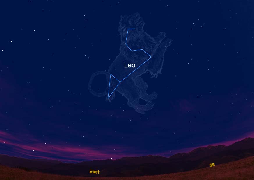 See Lions In the Night Sky This Month